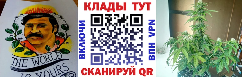 Где купить наркоту Нефтекумск Кокаин  Каннабис  СОЛЬ  ГАШИШ  МЕФ 