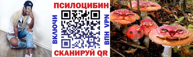 Псилоцибиновые грибы мицелий  Нефтекумск 
